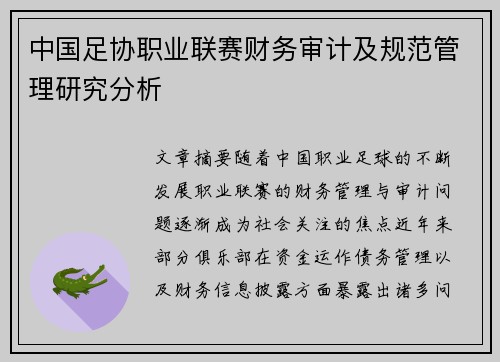 中国足协职业联赛财务审计及规范管理研究分析 中国足协职业联赛财务审计及规范管理研究分析